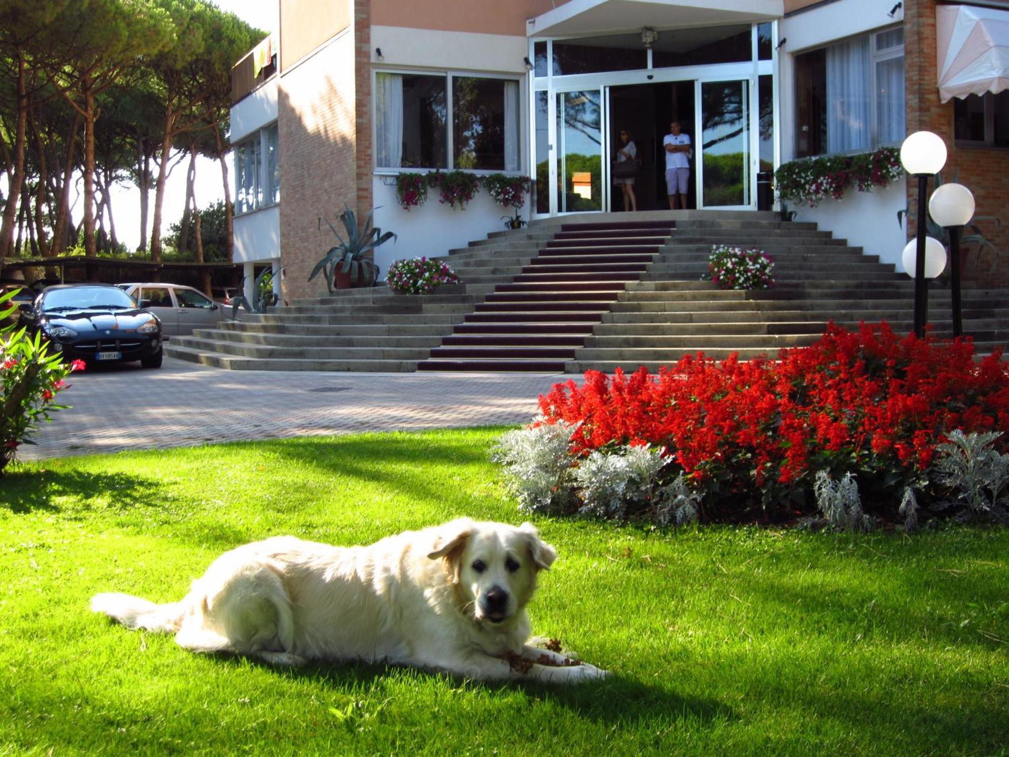 Hotel Beau Rivage Pineta Lido di Jesolo Exterior foto
